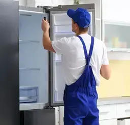 Build Assets App 3391905356 servis